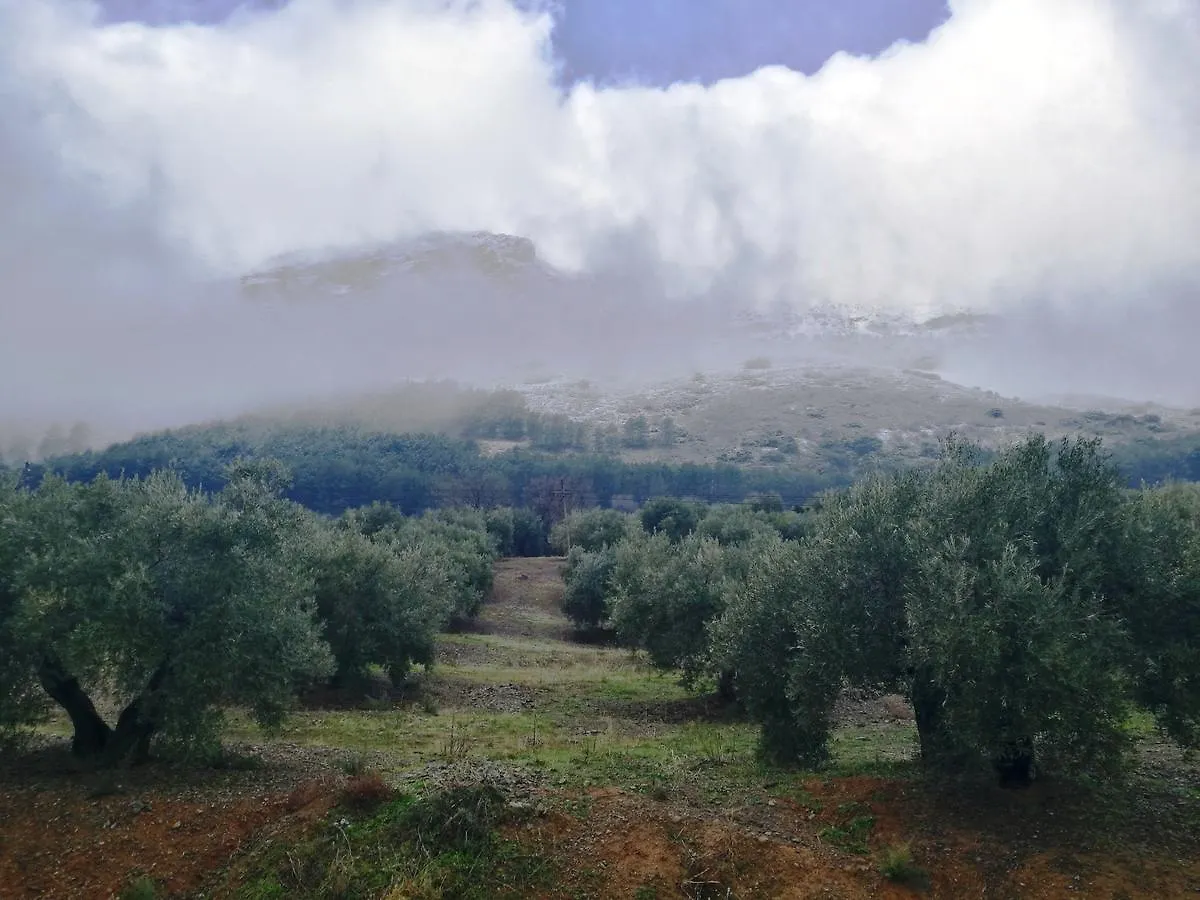 Alojamiento Rural La Caseria De Piedra Restaurante Jaén Landsted